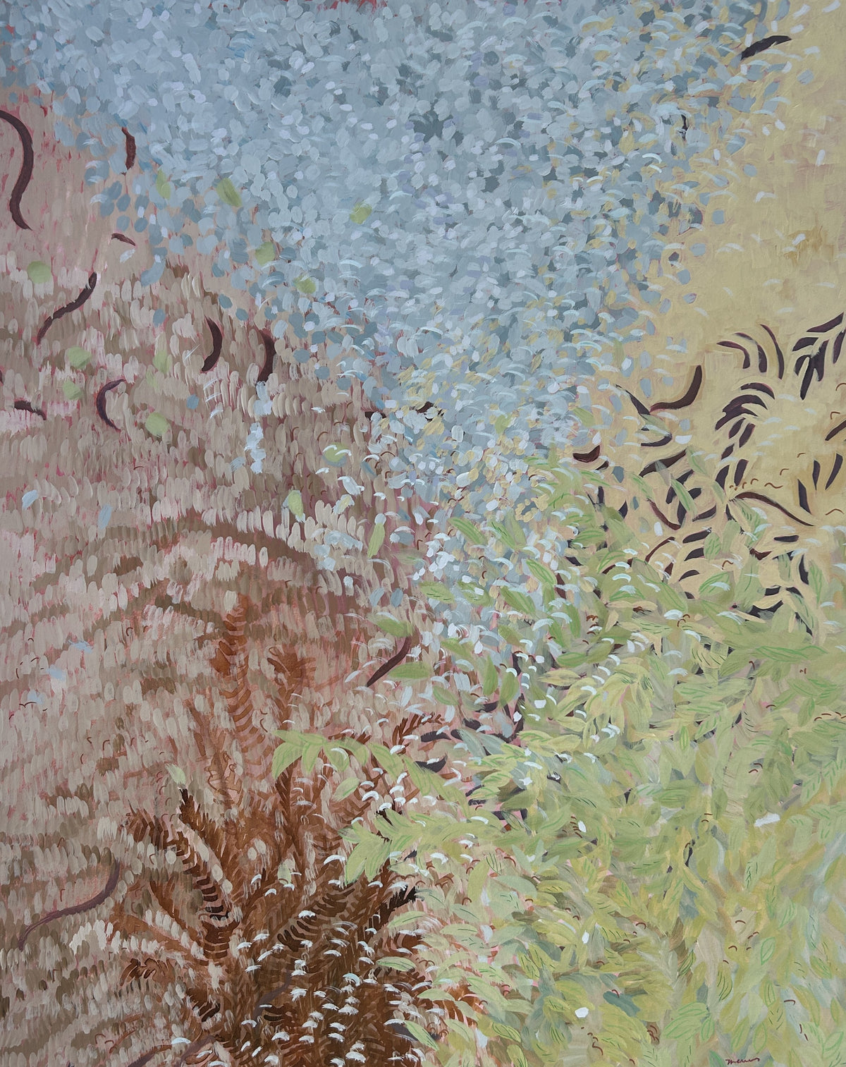 Bushland Bloom
