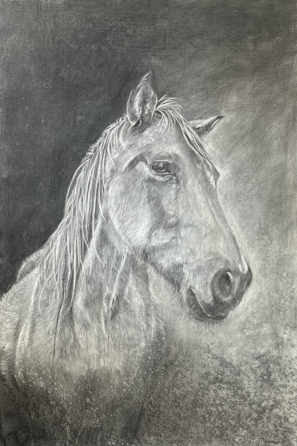 Original Australian Art by Tara Lewis - Original Australian Paintings – Contemporary Art by Local Artist - Free Delivery Australia Wide