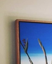 Under the shade of a Coolibah Tree – Original Australian Art by Tara Lewis